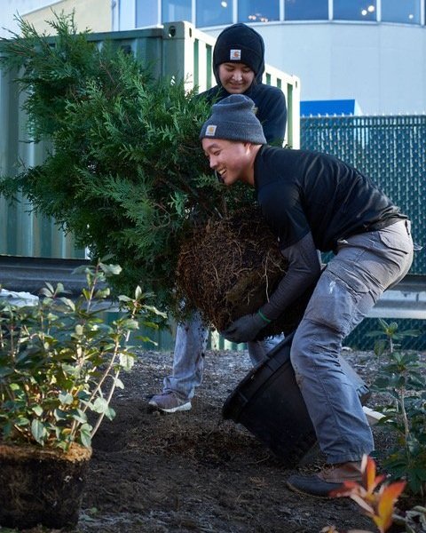 Two gentleman in sweatshirts and hats planting trees.