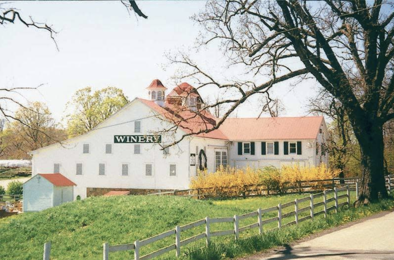 The exterior of Christian Klay Winery. A white barn looking building with a red roof. In front sits a large fenced in yard. 