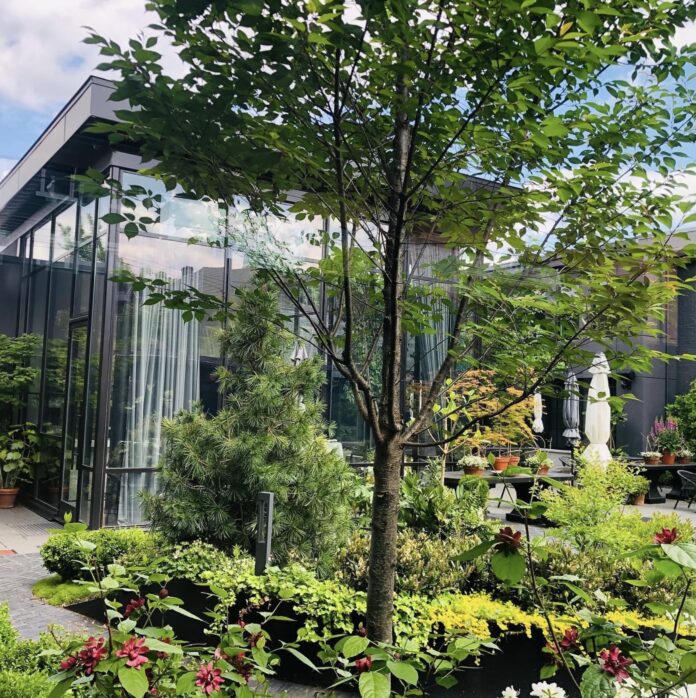 a landscape of greenery amongst patio furniture outside a building with full length windows