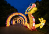 Pittsburgh Happenings: August 8-14 A blow up dragon lights up a walkway, visitors can walk through this installation.
