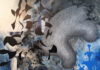 Pittsburgh Happenings: October 24-30 An abstract painting. Pittsburgh art and culture events