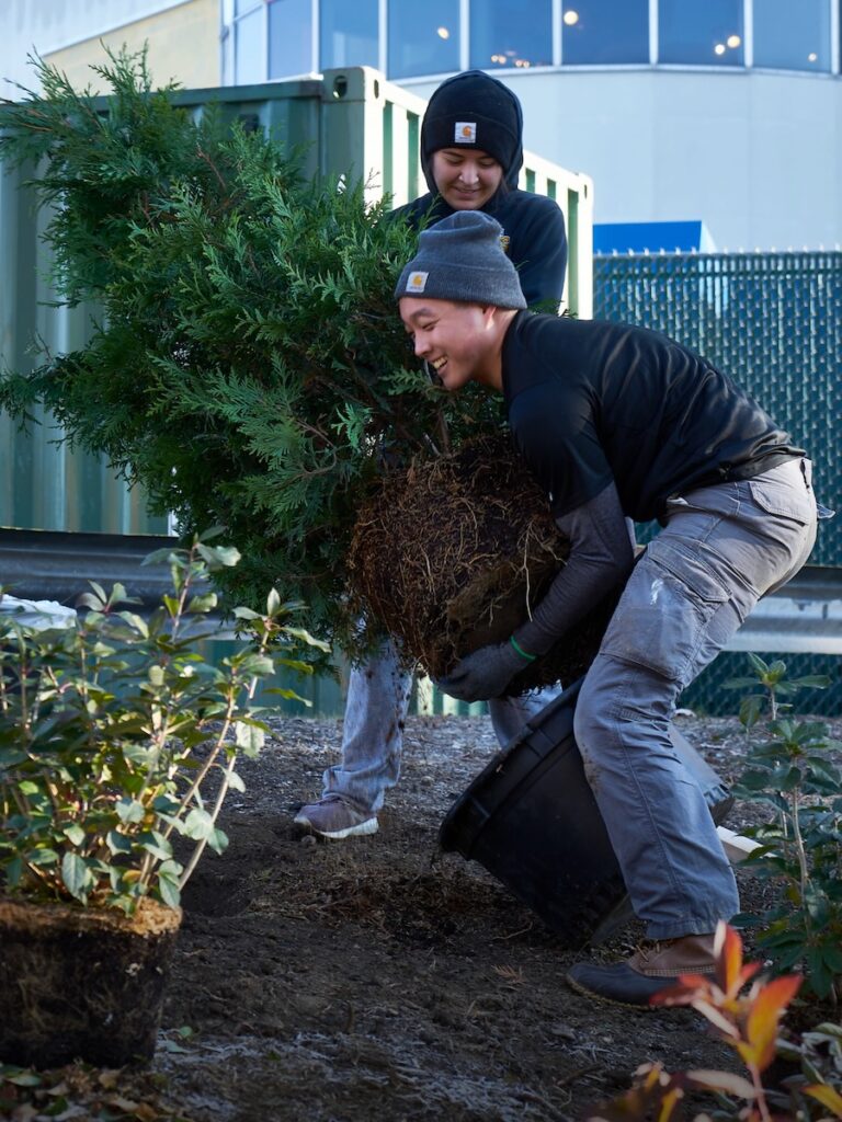 Two gentleman in sweatshirts and hats planting trees.