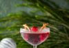Rudolph’s Red-Nose Punch A cocktail glass filled with Rudolph's Red-Nose Punch topped with a cranberry and pretzels on the glass.