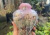 7 Healthy Classes in Pittsburgh A woman with black nails holds a heart shaped jar filled with herbs and sealed with pink wax.