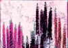 o_ Man! Exhibit at Silver Eye Center Mixes Color and Commentary A painting of various trees in different shades of pink and black.