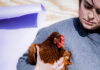 Anna Franklin’s Love for Her Chickens Anna Franklin holds one of her chickens in front of a blue-purple backdrop.