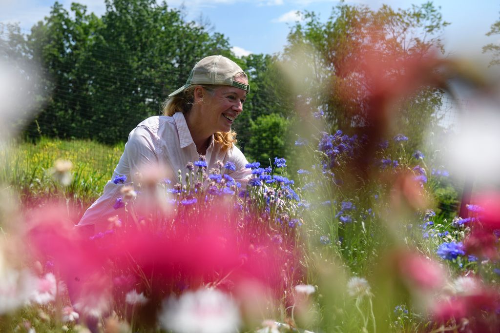 A woman farms a flower garden for fresh flowers in a backwards hat and pink shirt. 