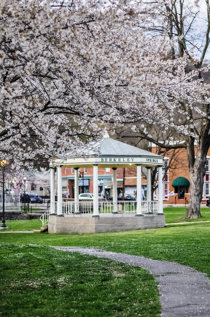 A flowery outdoor field with a gazebo at Berkeley Springs