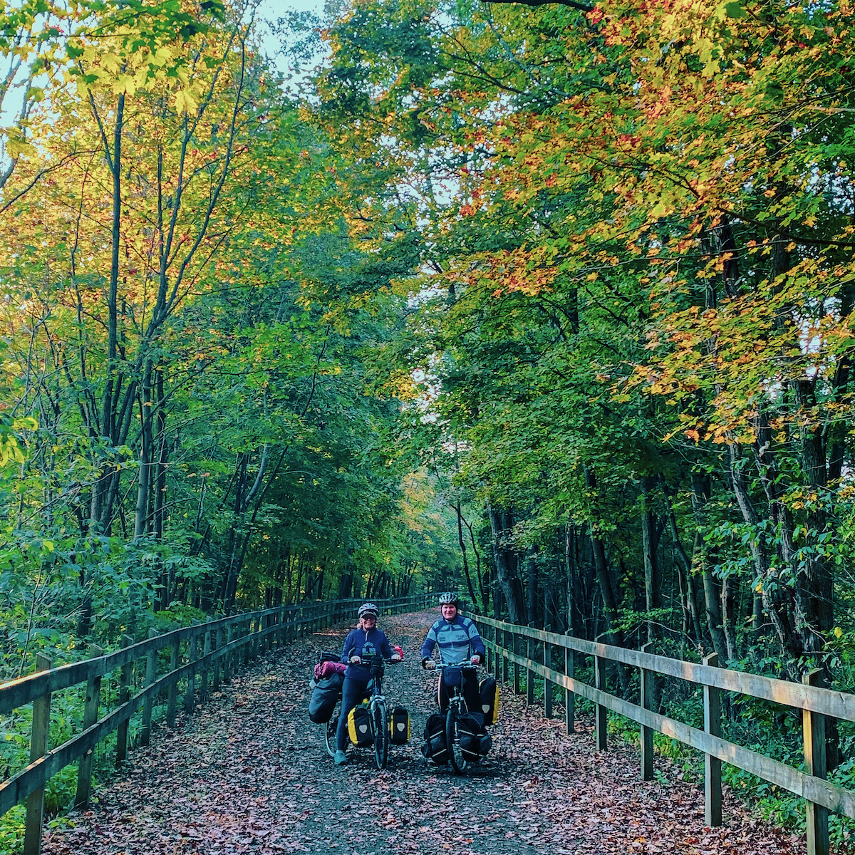 A green, wooded trail with two people biking on it 