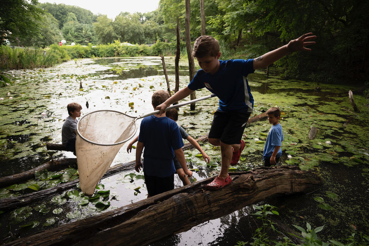 Kids play together on a log over a river full of lily pads