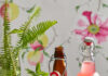 Trevor Ring Transforms Food and Community with Fermentation Two bottles of soda from Trevor Ring of Community Cultures sit beside a glass of clear soda with a lime and mint garnish.