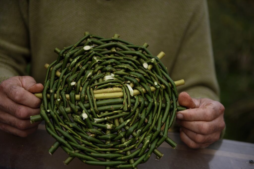 Dan Brockett weaves a green basket out of natural materials.