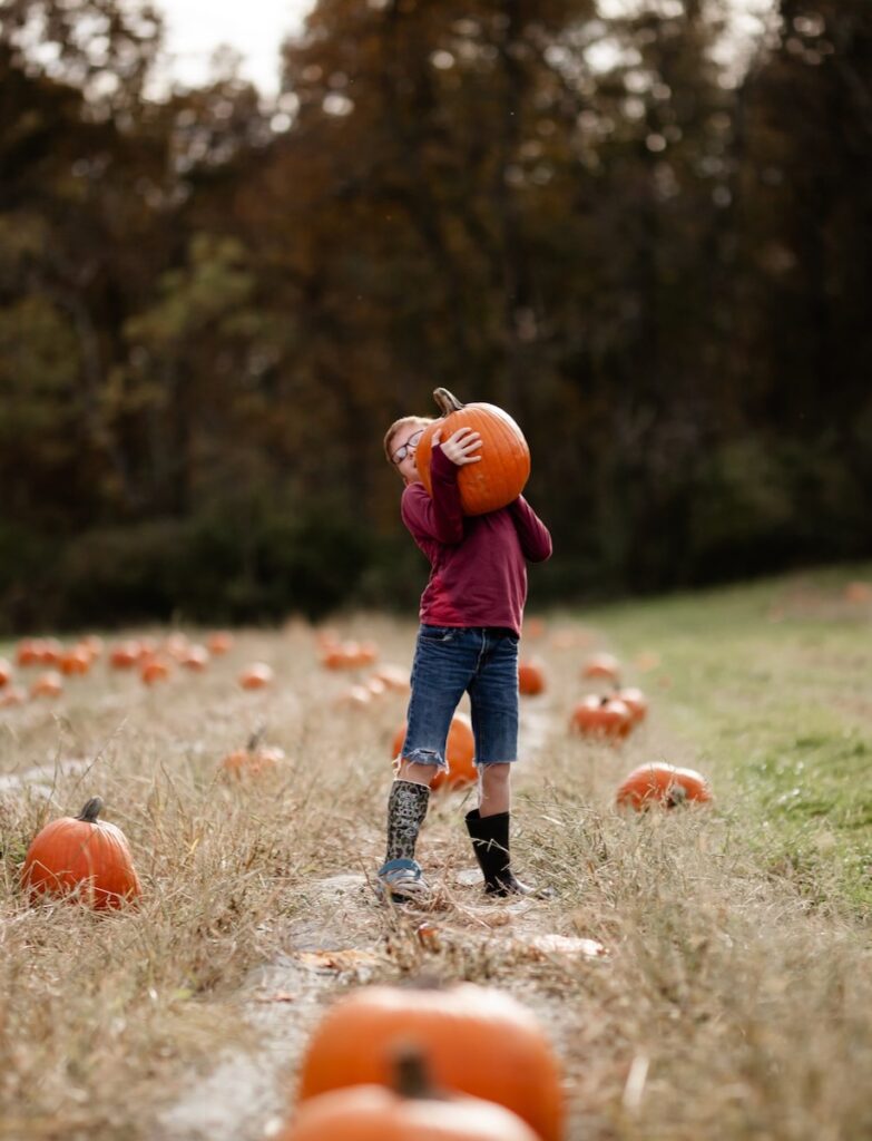A kid holds a pumpkin on their shoulder in the middle of a fall Pittsburgh pumpkin patch.