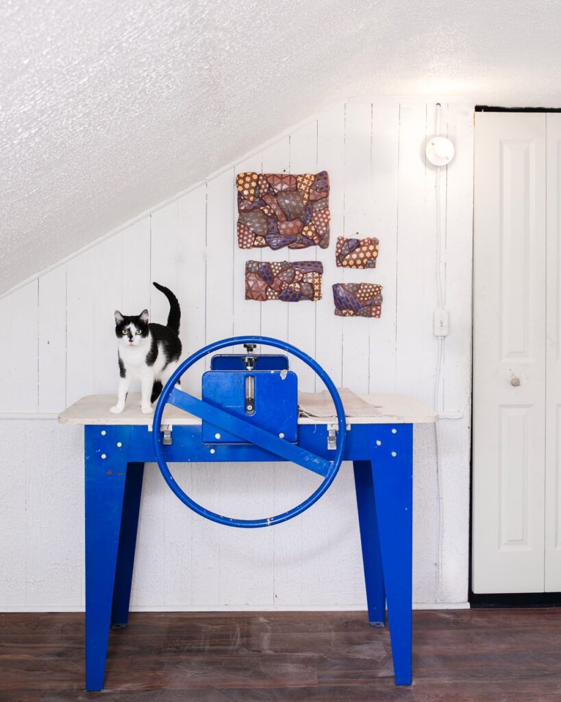 Taylor Mezo Brings a Pop of Color with Her Ceramics A cat stands on a blue work table beside paintings on the wall.