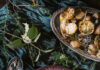 Scungili Salad A festive meal setup featuring a bowl of pinkish-white sliced conch salad with lemon, fennel and olive garnishes, accompanied by roasted fingerling potatoes and serving utensils.