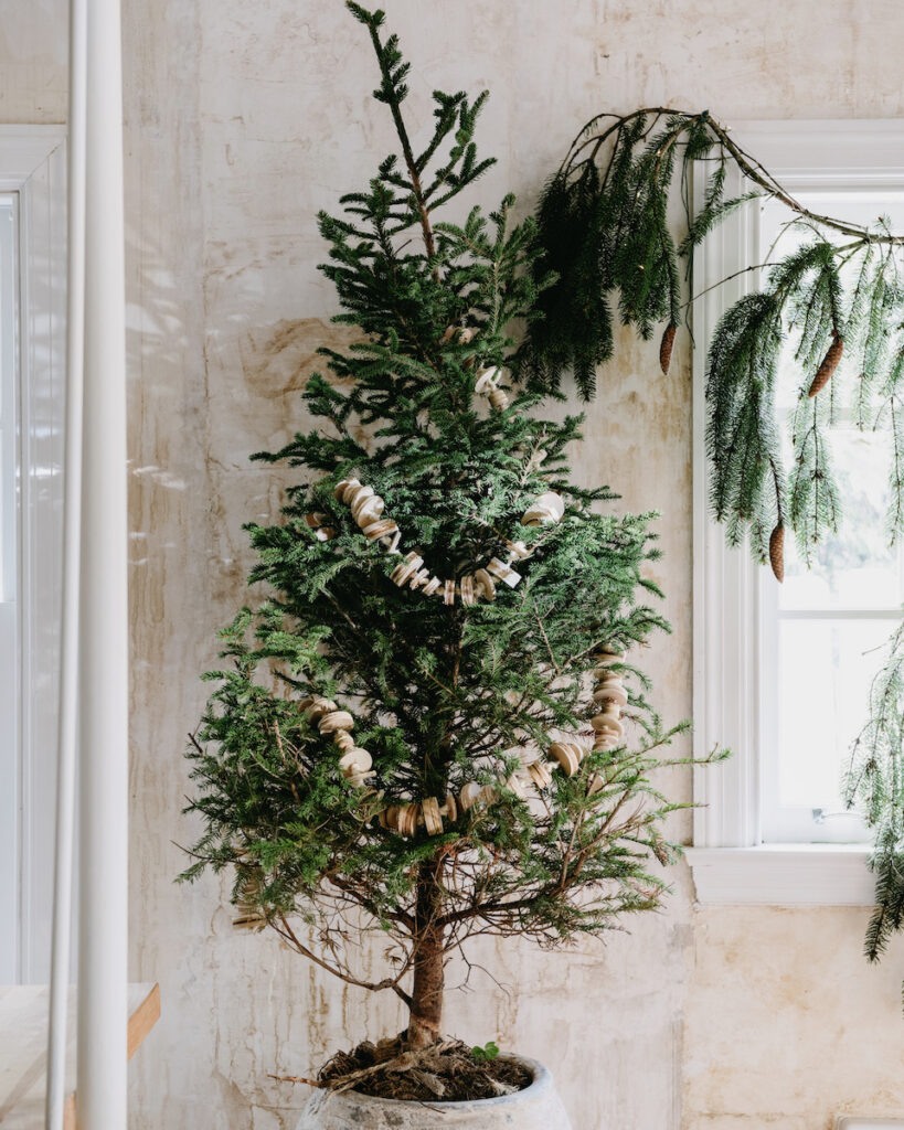 A tree in Leanne Ford's home