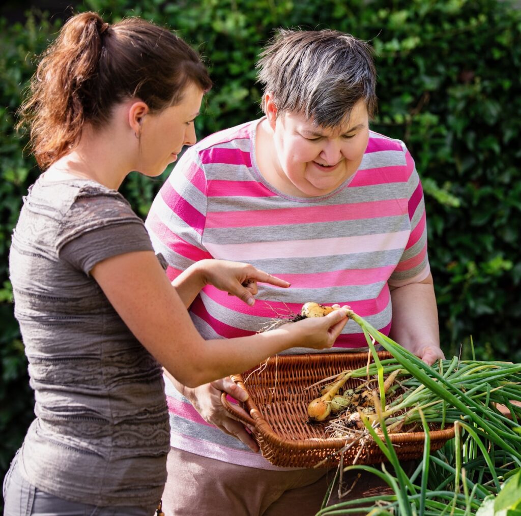 A woman in a grey shirt helps an older woman in a pink shirt collect vegetables from a garden.