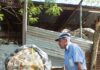 Giving Guide 2025: WORK An older man pushing a wheelbarrow of trash.