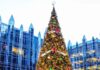 Where to See Christmas Trees in Pittsburgh A cheerful Christmas tree lit up in Pittsburgh's PPG place