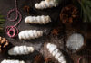 Judy’s Lady Locks Small white cookies, lady locks, on a dark brown background