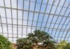 5 Pittsburgh Events This Weekend (January 6-12) Three small bonsai trees sit on small wooden stands in the middle of a greenhouse at Phipps in Pittsburgh.
