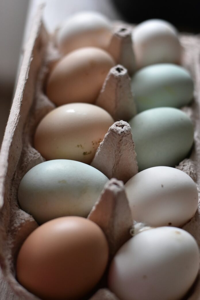A carton of eggs in white, blue, and brown.