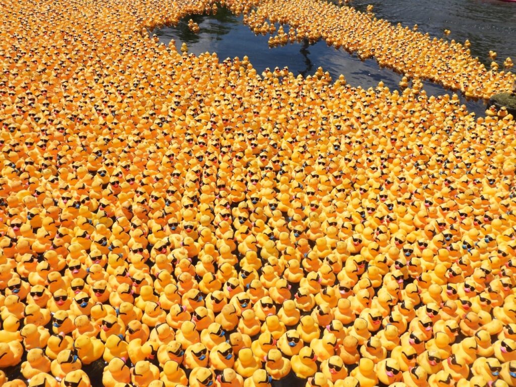 Hundreds of rubber ducks float down the Allegheny lake for Pittsburgh's Steel Duck Derby event.