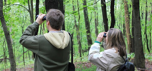 Two people look through binoculars in a forrest for birding in Pittsburgh.