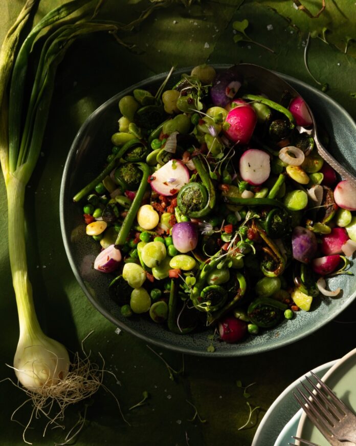 Springtime Succotash A big teal bowl of springtime vegetable succotash using radishes and various green sprouts as a green onion sits to the left of the bowl.