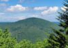 7 Hikes Near Pittsburgh for Spring Adventures The forest at Spruce Knob, the highest point in West Virginia