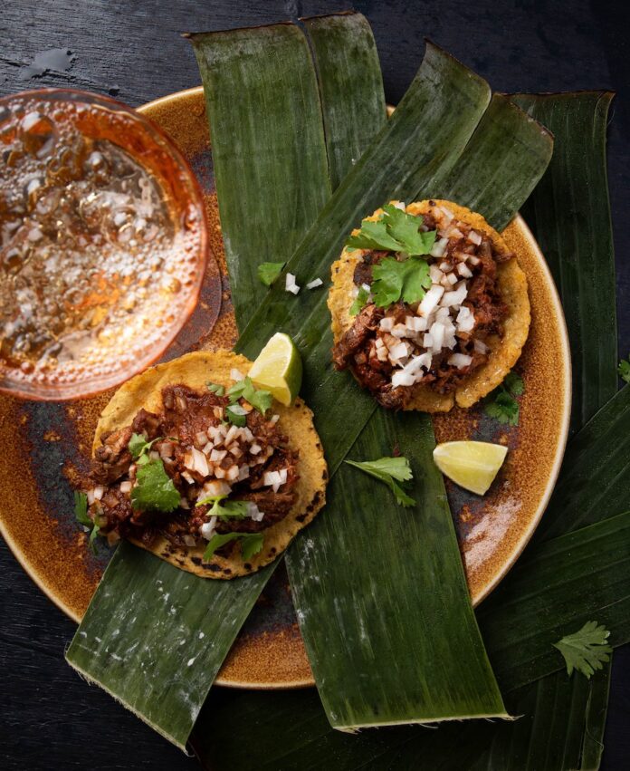 Lamb Shoulder Two small tacos on green plantains hold a braised lamb shoulder with cilantro on top.