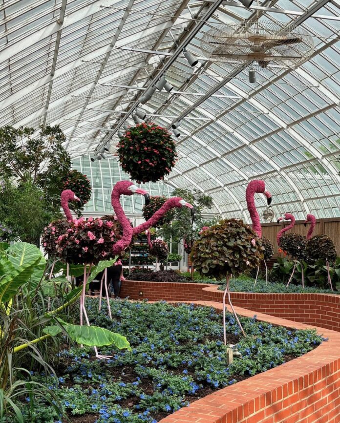 Pittsburgh Events: Your Guide to May 12-May 18 Topiary flamingos amongst fields of green inside Phipps Conservatory in Pittsburgh.