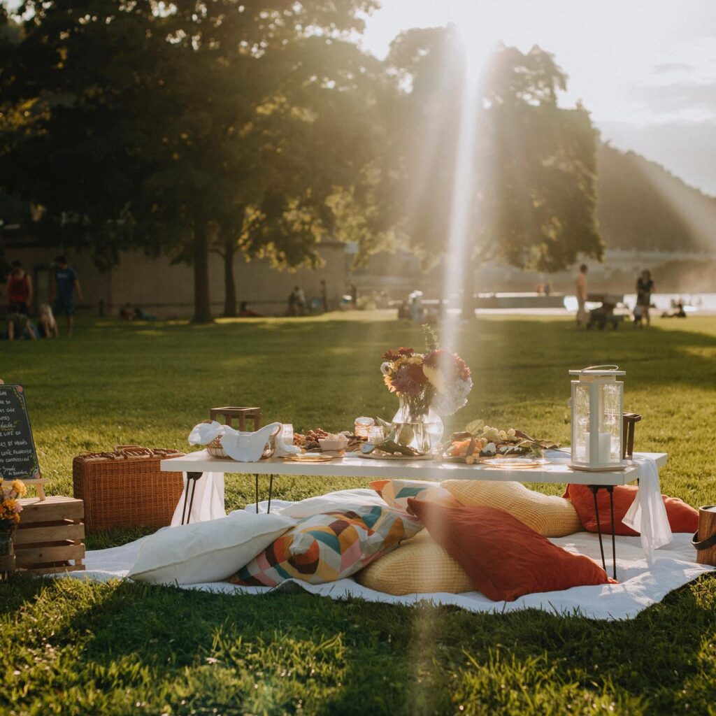 A white blanket with pillows lays at a picnic in a Pittsburgh Park with a table over top of it full of picnic lunch foods and flowers.