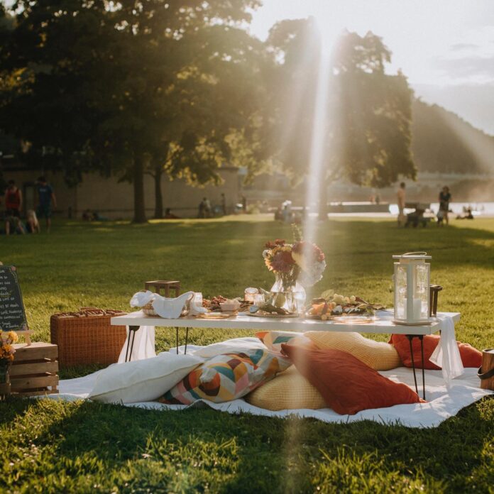 A white blanket with pillows lays at a picnic in a Pittsburgh Park with a table over top of it full of picnic lunch foods and flowers.