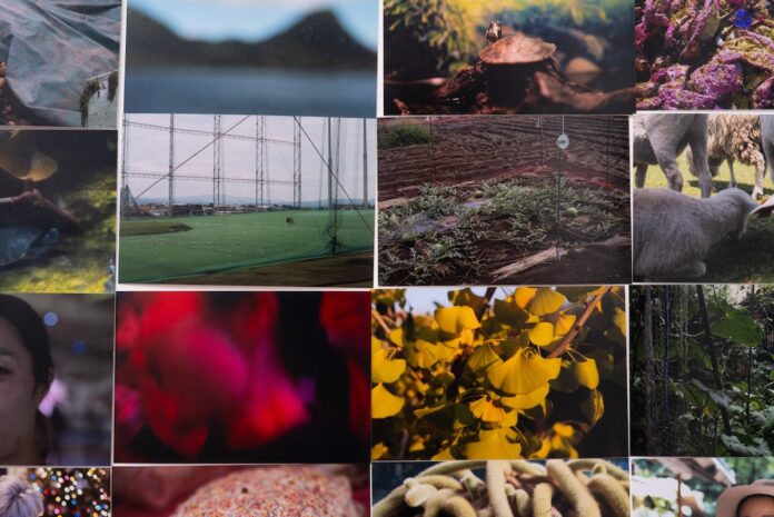 Silver Eye Center’s Fellowship 25 Highlights Love and Death A collage of images by Brett Davis and his daughter, Toko, for Silver Eye's Fellowship 25