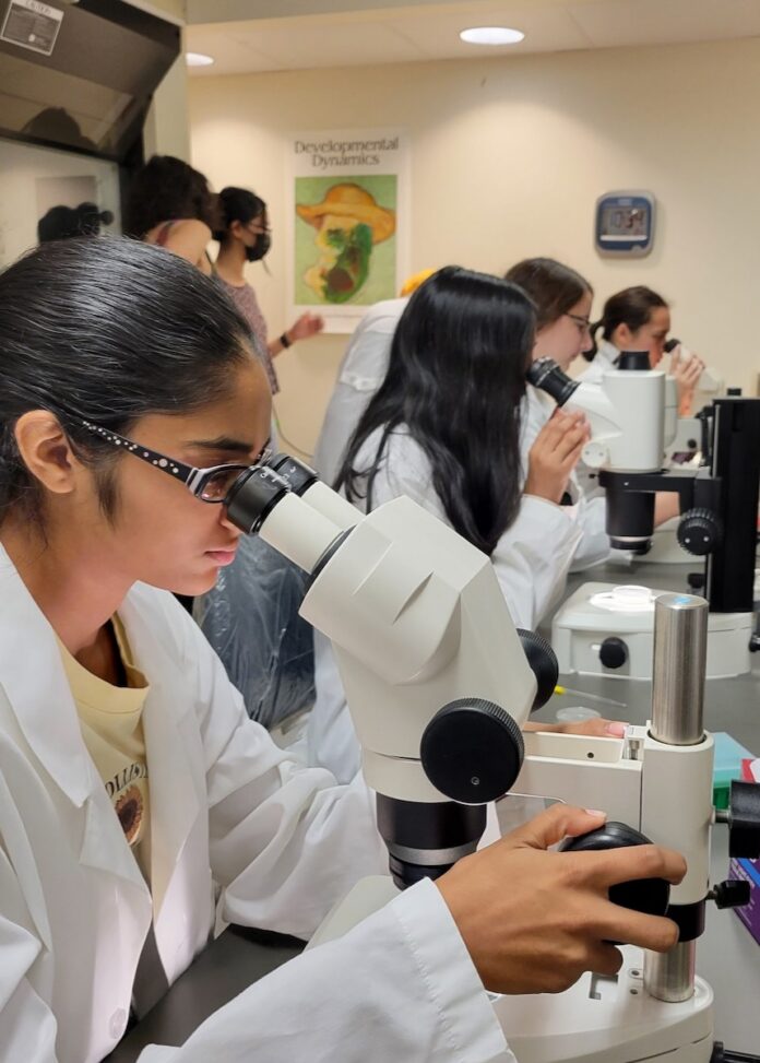 A line of girls in lab coats look through microscopes at a summer camp.