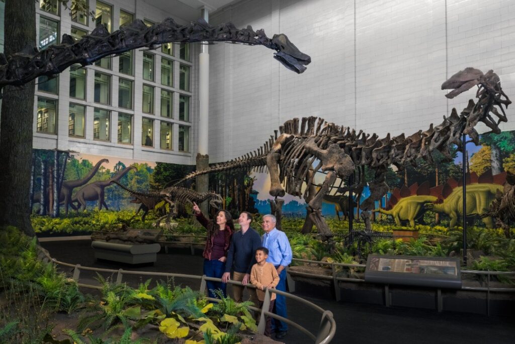 A family looks up at a dinosaur bones exhibit at the Carnegie Natural History Museum in Pittsburgh