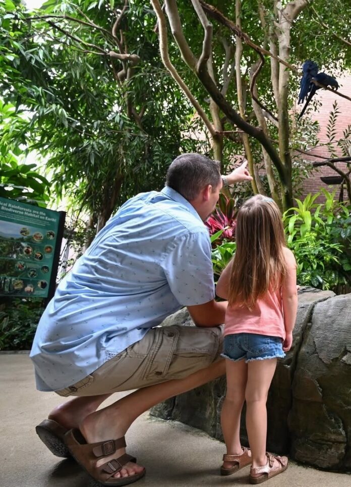 A father and daughter look at birds at the National Aviary.