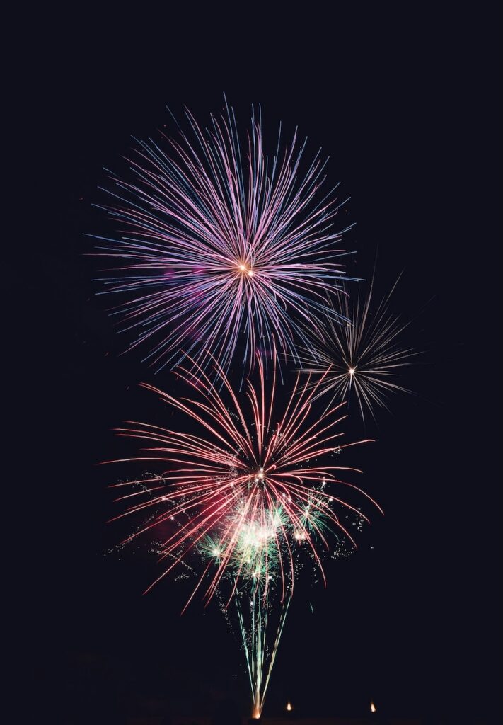 Three Fourth of July fireworks in red and blue colors explode in a nights sky.