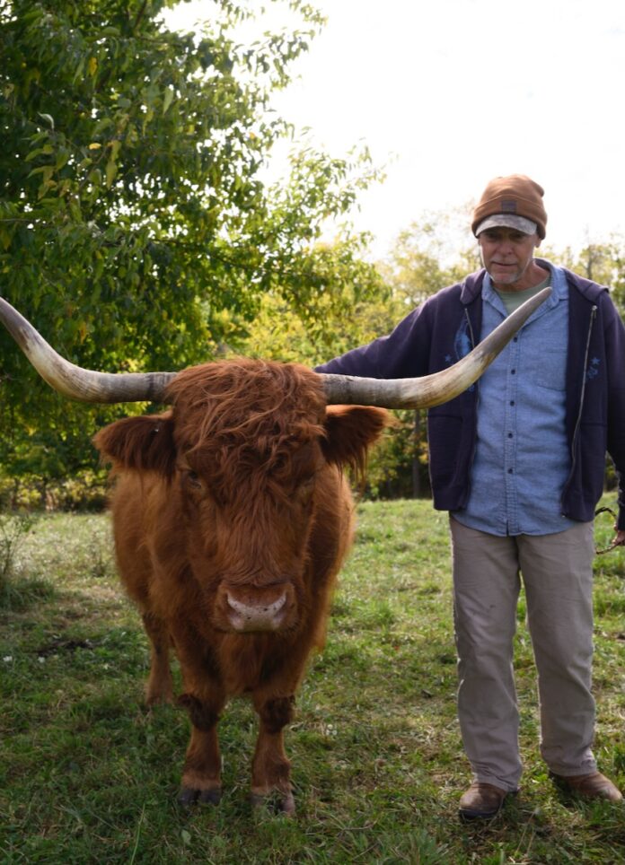 Pittsburgher Highland Farm: Sustainable Beef & Highland Cows A man stands beside a highland cow outdoors at Pittsburgher Highland Farm.