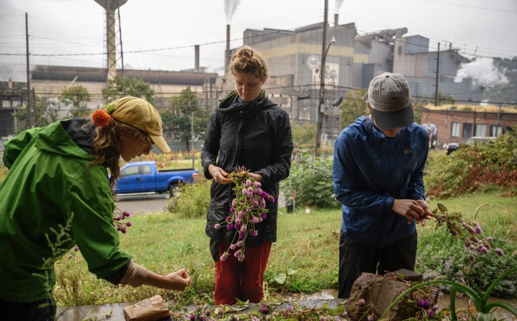 Three people at Sol Patch Garden sort through various flower blooms.