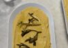 Fava Spread An aerial shot of a Fava Spread, yellow in color, on a white oval dish