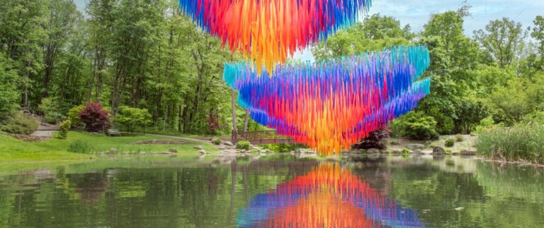 Momentum ElevatedReflection Banner2 1500x630 1 768x323