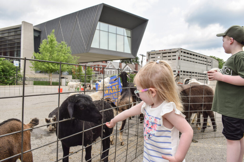 A little girl pets a goat through a fence.