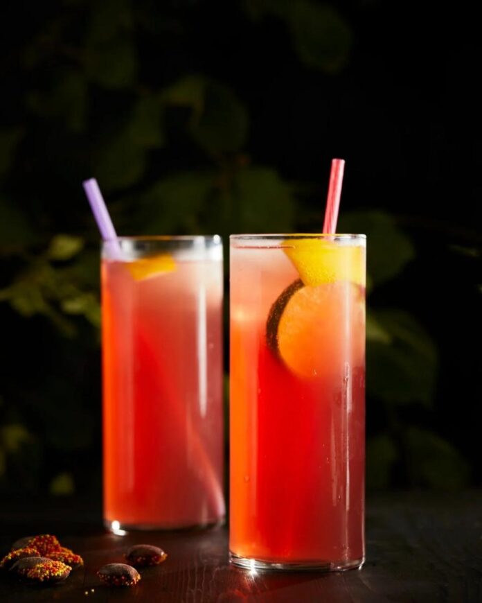 A Haunted House with a Picket Fence Two tall highball glasses with a reddish-pink cocktail and a colorful straw, garnished with fruit slices.