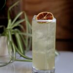 A Mama Maté cocktail in a tall glass filled with ice, garnished with a dried lime wheel, with a green plant in the background.