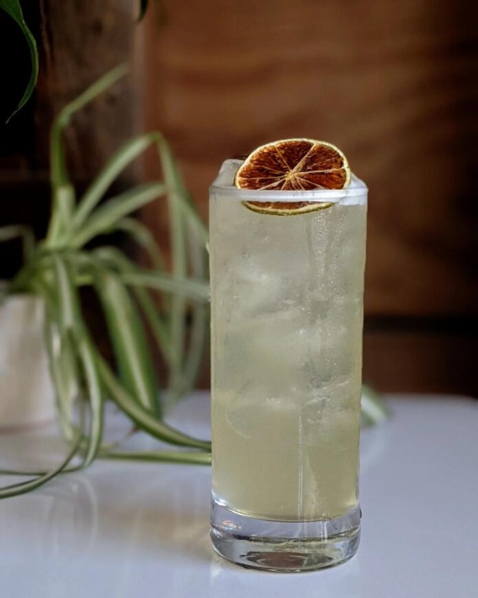 Mama Maté A Mama Maté cocktail in a tall glass filled with ice, garnished with a dried lime wheel, with a green plant in the background.