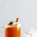 A glass mug of mulled apple cider topped with vegan whipped cream, a cinnamon stick, and a star anise pod.