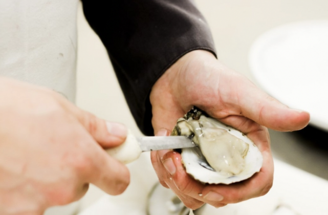 Hands holding an oyster on the half shell and using an oyster knife to shuck it.