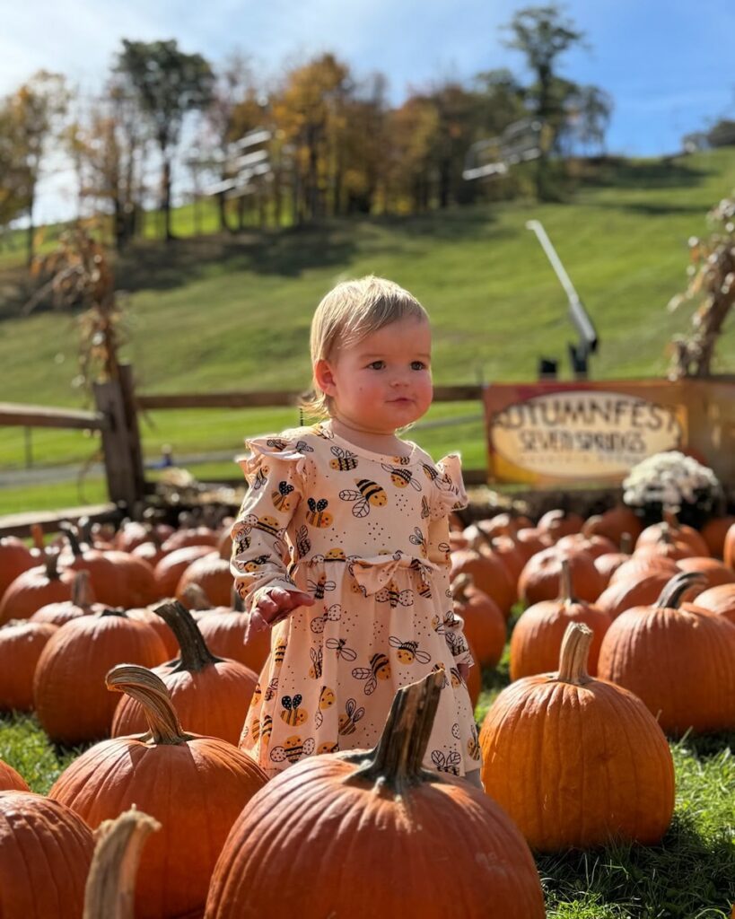 Toddler in bee dress at pumpkin patch, Pittsburgh fall festival